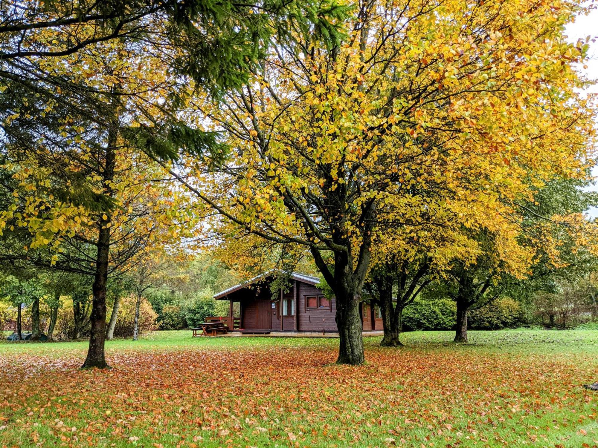 Pinecroft Lodges Ingleton  Exterior foto